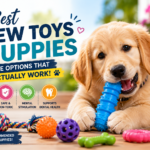 Best Chew Toys for Puppies