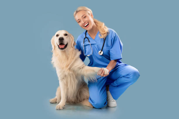 Puppy Vaccination Schedule