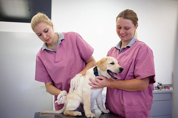 Puppy Vaccination Schedule