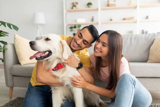 15 Powerful Signs Your Puppy Loves You 