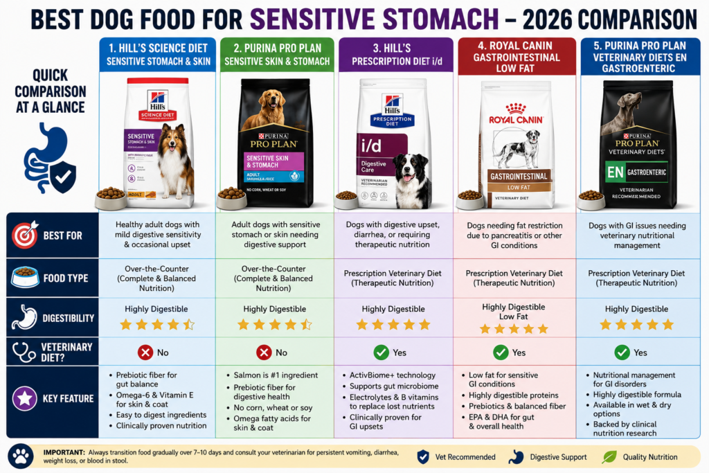 Best Dog Food for Sensitive Stomach: Vet-Approved Picks That Actually Work in 2026!